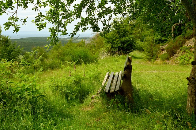 荷兰队创最差战绩，排协公告球队降级转战二级赛事争积分